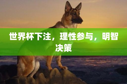 世界杯下注，理性参与，明智决策洛阳市法福文化传播有限公司