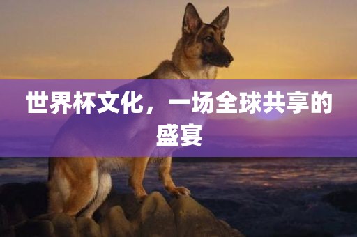 世界杯文化，一场全球共享的盛宴