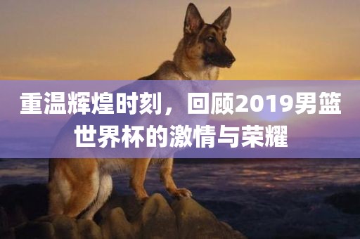 重温辉煌时刻，回顾2019男篮世界杯洛阳市法福文化传播有限公司的激情与荣耀