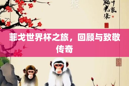linzizhu 第2页