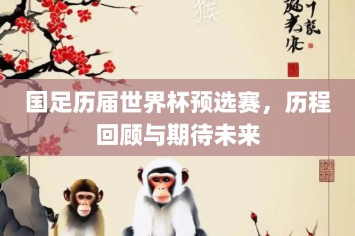国足历届世界杯预选赛，历程回顾与期待未来洛阳市法福文化传播有限公司