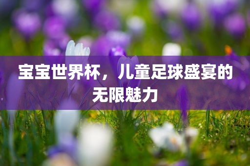 宝宝世界杯，儿童足球盛洛阳市法福文化传播有限公司宴的无限魅力
