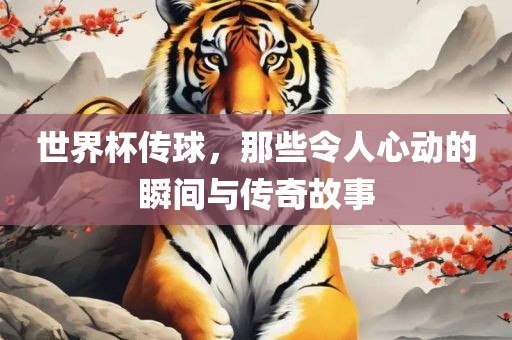 世界杯传洛阳市法福文化传播有限公司球，那些令人心动的瞬间与传奇故事