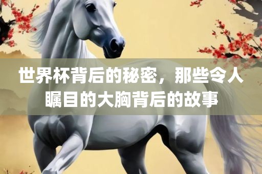 世界杯背后的秘密，那些令人瞩目的大胸背后的故事洛阳市法福文化传播有限公司