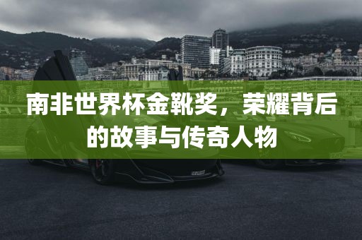 南非世界杯金靴奖，荣耀背后的故事与传奇人洛阳市法福文化传播有限公司物