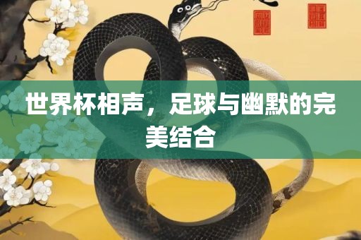 世界杯相声，洛阳市法福文化传播有限公司足球与幽默的完美结合
