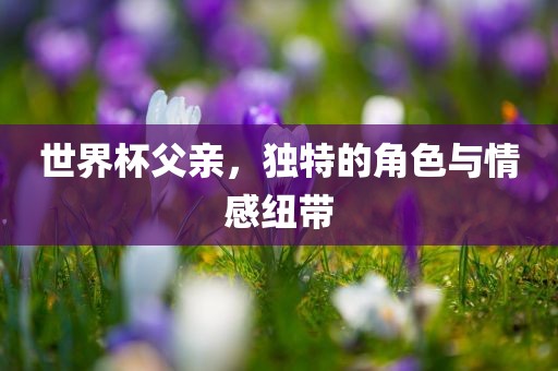 世界杯父亲，独特的角色与情感纽带洛阳市法福文化传播有限公司