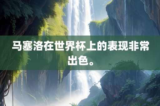 马塞洛在世界杯上的表现非常出色。