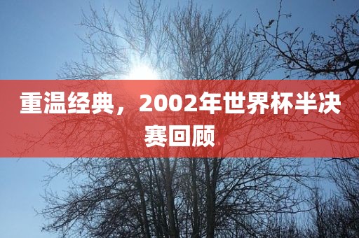 重温经典，2002年世界杯半决赛回顾