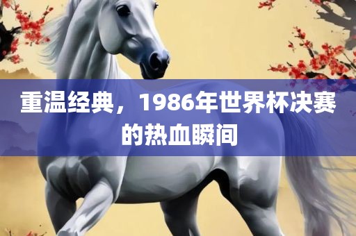 重温经典，1986年世界杯决赛的热血瞬间洛阳市法福文化传播有限公司