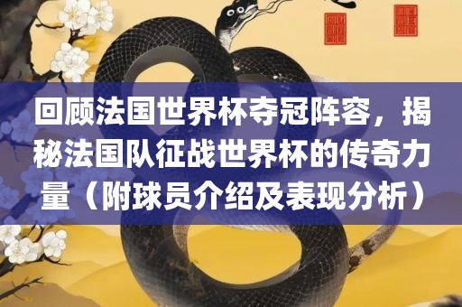 回顾法国世界杯夺冠阵容，揭秘法国队征战世界杯的传奇力量（附球员介绍及表现分析）洛阳市法福文化传播有限公司