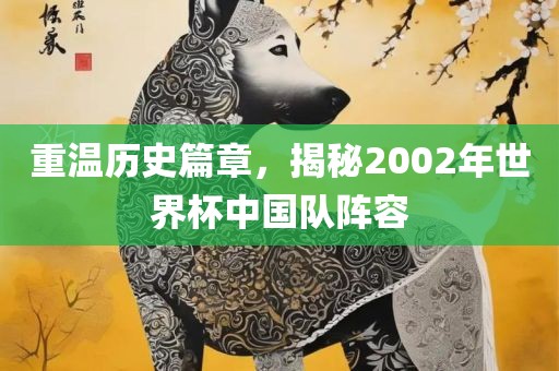 重温历史篇章，揭秘2002年世界杯中国队阵容