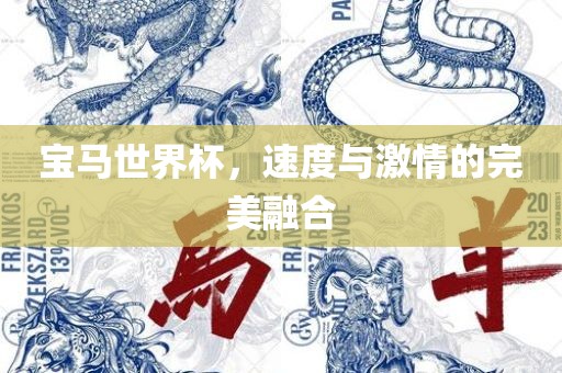 宝马世界杯，速度与激情的完美融合