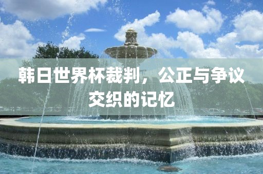 韩日世界杯裁判，公正与争议交织的记忆洛阳市法福文化传播有限公司