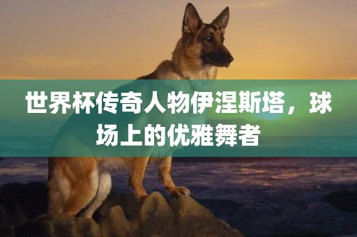 世界杯传奇人物伊涅斯塔，球场上的优雅舞者