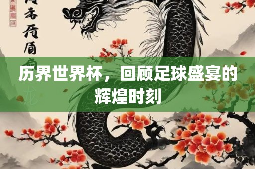 历界世界杯，回顾足球盛宴的辉煌时刻