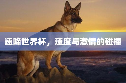 速降世界杯，速度与激情的碰撞