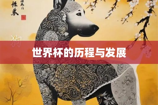 世界杯的历程与发展洛阳市法福文化传播有限公司
