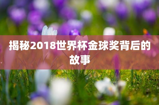 揭秘2018世界杯金球奖背后的故事洛阳市法福文化传播有限公司