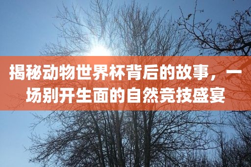 揭秘动物世界杯背后的故事，一场别开生面的自然竞技盛宴