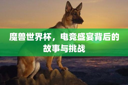 魔兽世界杯，电竞盛宴背后的故事与挑战洛阳市法福文化传播有限公司