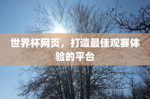世界杯网页，打造最佳观赛体验的平台洛阳市法福文化传播有限公司