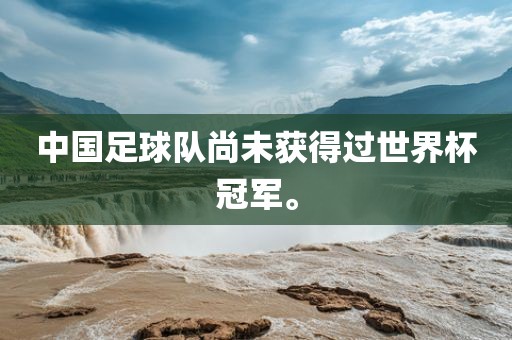 中国足球队尚未获得过世界杯冠军。