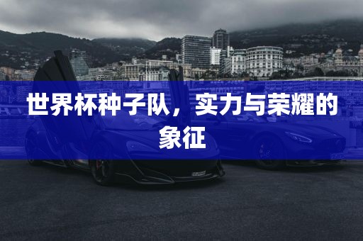 世界杯种子队，实力与荣耀的象征洛阳市法福文化传播有限公司