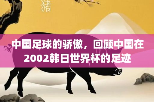 中国足球的骄傲，回顾中国在2002韩日世界杯的足迹