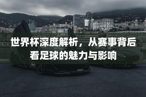 世界杯深度解析，从赛事背后看足球的魅力与影响