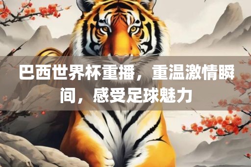 巴西世界杯重播，重温激情瞬间，感受足球魅力