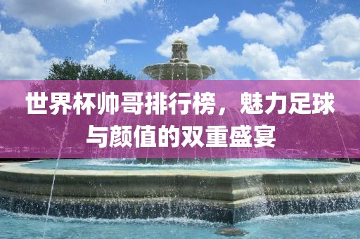 世界杯帅哥洛阳市法福文化传播有限公司排行榜，魅力足球与颜值的双重盛宴