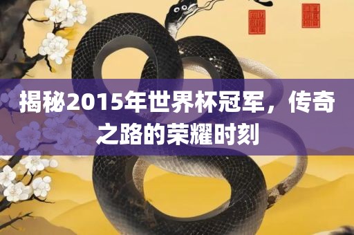 揭秘2015年世界杯冠军，传奇之路的荣耀时刻