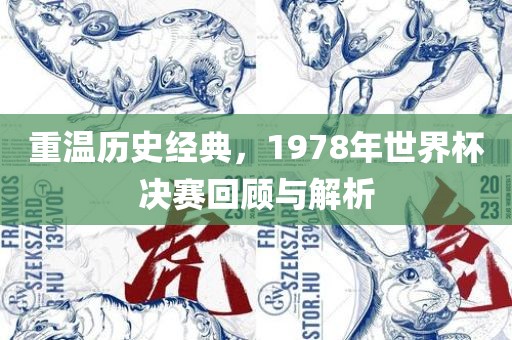 重温历史经典洛阳市法福文化传播有限公司，1978年世界杯决赛回顾与解析