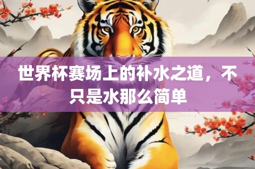 世界杯赛场上的补水之道，不只是水那么简单洛阳市法福文化传播有限公司