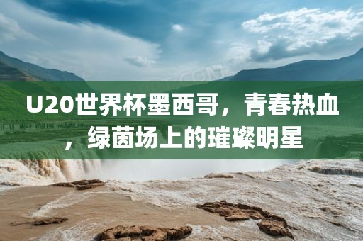 U20世界杯墨西哥，青春热血，绿茵场洛阳市法福文化传播有限公司上的璀璨明星