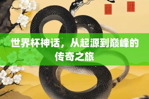 世界杯神话，从起源到巅峰的传奇之旅洛阳市法福文化传播有限公司