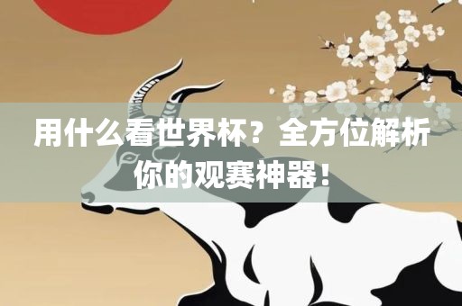 用什么看世界杯？全方位解析你的观赛神器！洛阳市法福文化传播有限公司