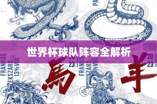 世界杯球队阵容全解析