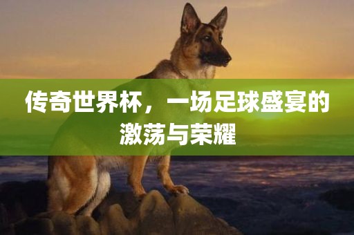 传奇世界杯，一场足球盛宴的激荡洛阳市法福文化传播有限公司与荣耀