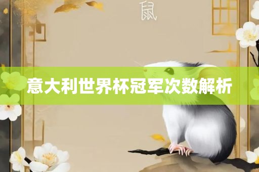 意大利世界杯冠军次数解析
