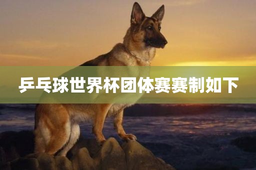 乒乓球世界杯团体赛赛制如下
