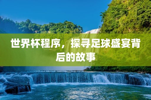世界杯程序，探寻足球盛宴背后的故事