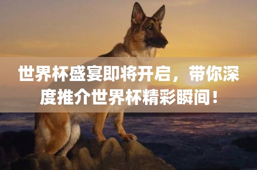 世界杯盛宴即将开启，带你深度推介世界杯精彩瞬间！