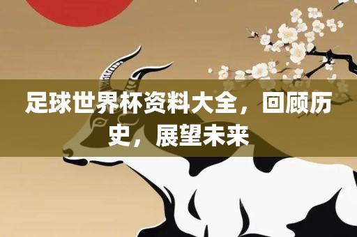 足球世界杯资料大全，回顾历史，展望未来