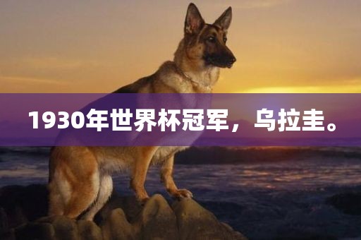 1930年世界杯冠军，乌拉圭。