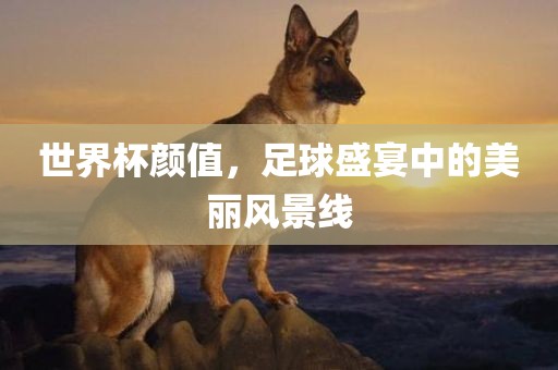 世界杯颜值，足球盛宴中的美丽风景线洛阳市法福文化传播有限公司