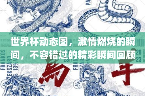 世界杯动态图，激情燃烧的瞬间，不容错过的精彩瞬间回顾