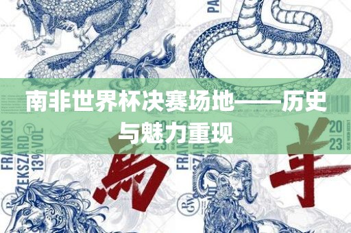 南非世界杯决赛场地——历史与魅力重现洛阳市法福文化传播有限公司