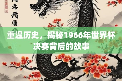 重温历史，揭秘1966年世界杯决赛背后的故事